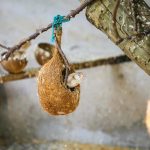 Best Practices for Secure API Development and Integration