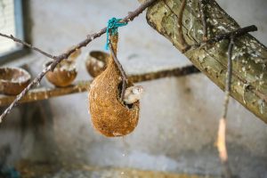 Best Practices for Secure API Development and Integration