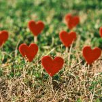 How Influencers Shape Shopping Lists for Every Season