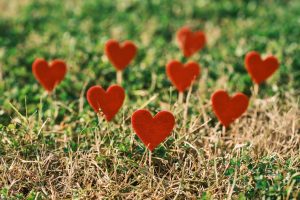 How Influencers Shape Shopping Lists for Every Season