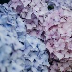 Spring-inspired fits highlight florals and pastel coloring