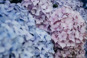Spring-inspired fits highlight florals and pastel coloring