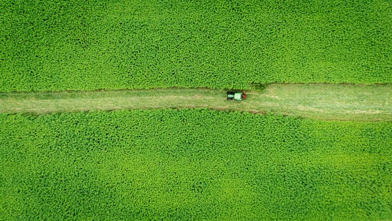 Where rent growth is softening across the country