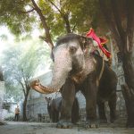 Why multifamily sees steady demand in big cities