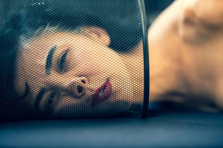 Wi-Fi Mesh Systems With Parental Oversight Features