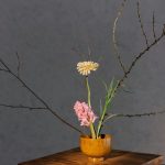 Mastering the Art of stress management in Sustainable Living