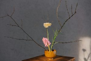 Mastering the Art of stress management in Sustainable Living