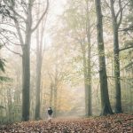 How outdoor learning boosts mental health and focus