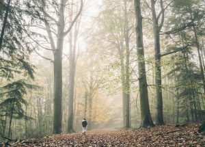 How outdoor learning boosts mental health and focus