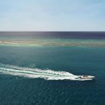 Managing Autonomous Fleets for Businesses
