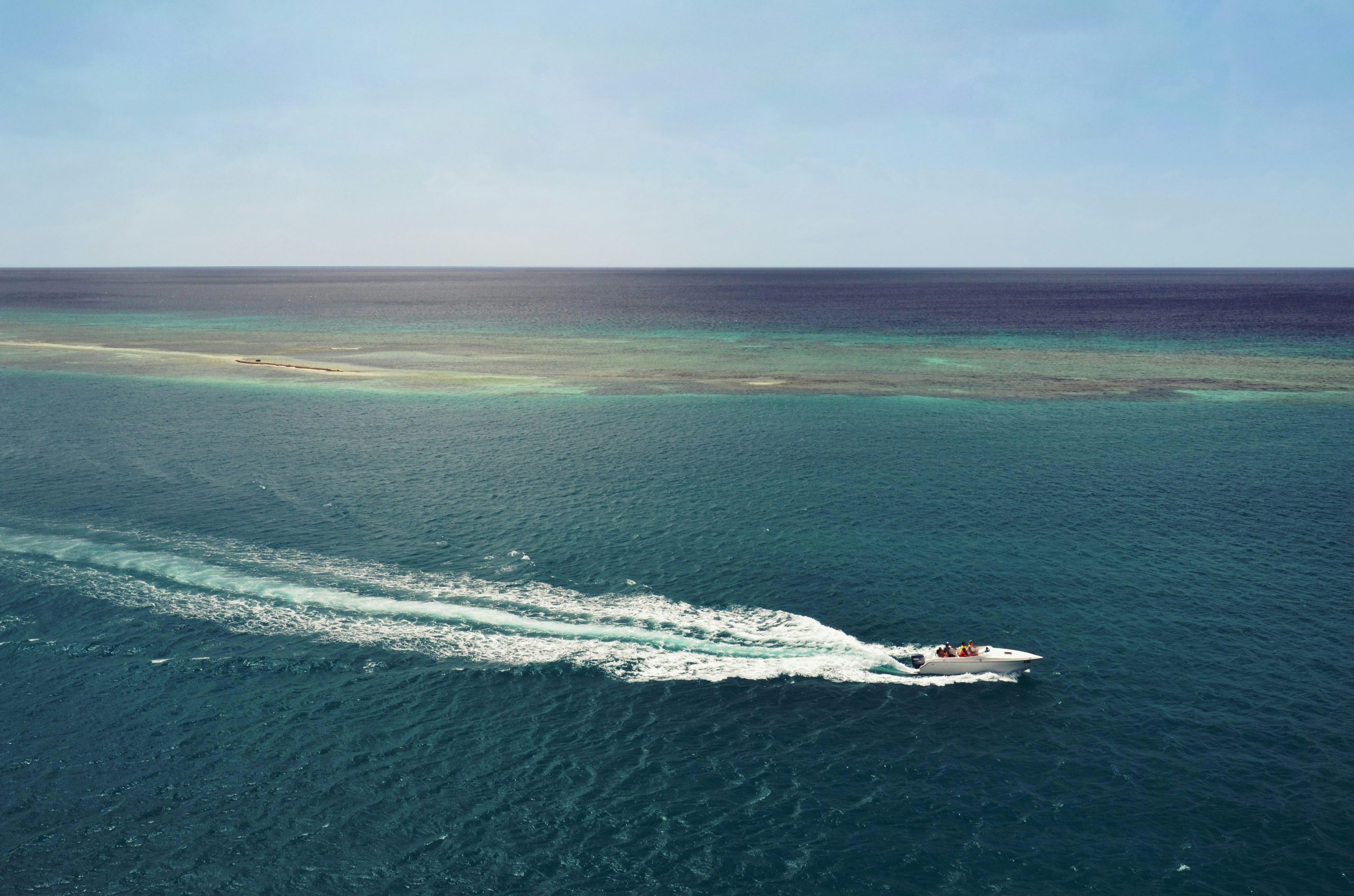 Managing Autonomous Fleets for Businesses