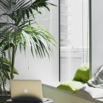 Top Tips for home organization in Personal Productivity