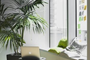 Top Tips for home organization in Personal Productivity