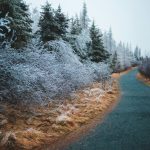 Choosing Between All-Season and Dedicated Winter Tires