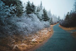 Choosing Between All-Season and Dedicated Winter Tires