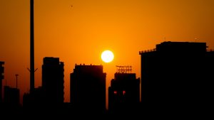 Sunbelt states outperform in new leasing activity