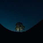 Nourishing Your Soul with a Sense of Wonder and Awe