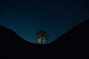 Nourishing Your Soul with a Sense of Wonder and Awe
