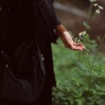 A Guide to Cultivating a Life of Peace and Serenity