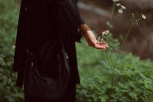A Guide to Cultivating a Life of Peace and Serenity
