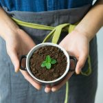 A Guide to Cultivating a Life of Gratitude and Abundance