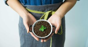 A Guide to Cultivating a Life of Gratitude and Abundance
