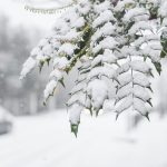 How to find a great deal on a used vehicle