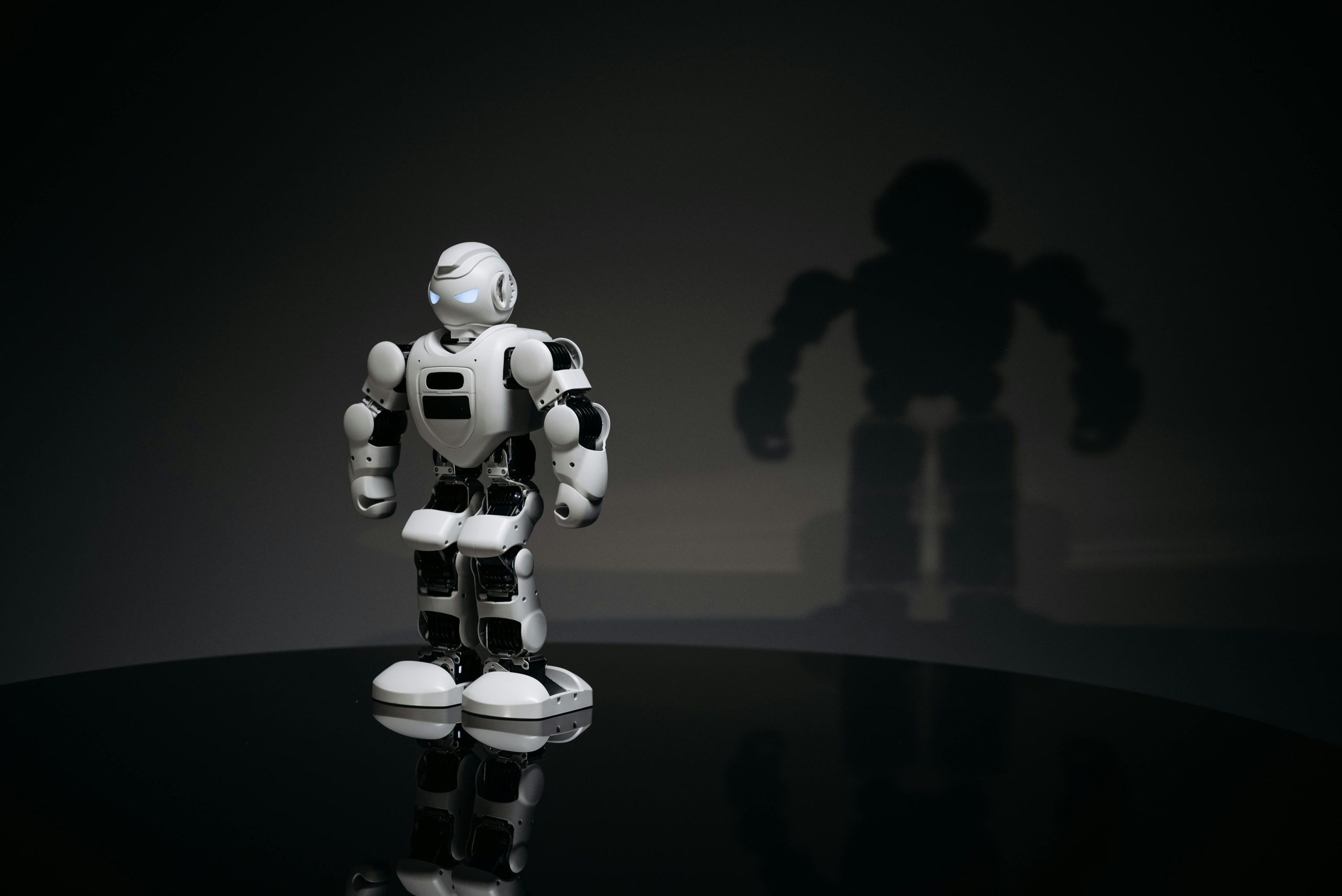 The Future of Higher Education in Digital Society